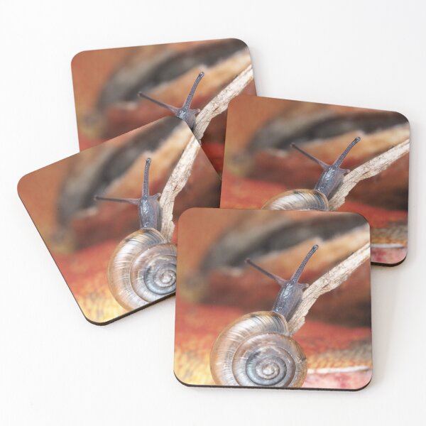 Item preview, Tiny snail designed and sold by SDym Photography.