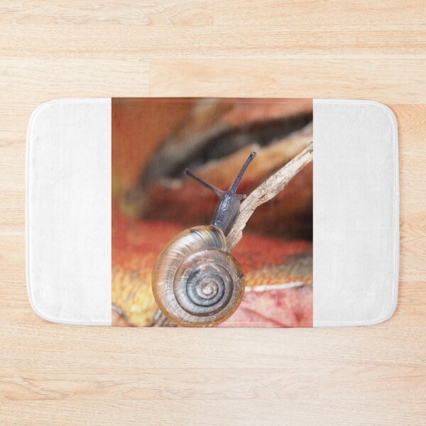 Item preview, Tiny snail designed and sold by SDym Photography.