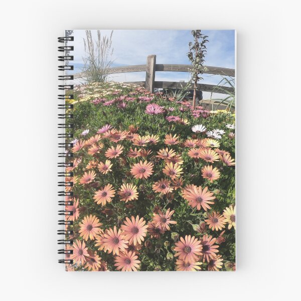 Item preview, beautiful flowers 4k photo designed and sold by Lighvision.