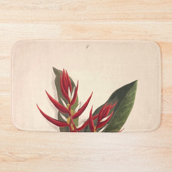 Item preview, Brazilian flowers drawn from nature in the years 1880 to 1882 in the neighbourhood of Rio de Janeiro E H Norton 040 designed and sold by WetdryvacRB01.