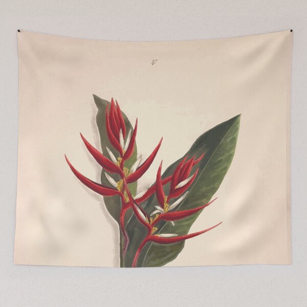 Item preview, Brazilian flowers drawn from nature in the years 1880 to 1882 in the neighbourhood of Rio de Janeiro E H Norton 040 designed and sold by WetdryvacRB01.