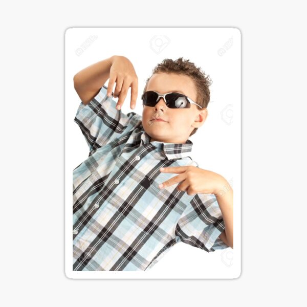 "cool kid with sunglasses meme" Sticker by bugsandflowers Redbubble