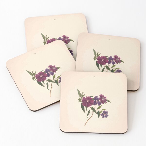 Item preview, Brazilian flowers drawn from nature in the years 1880 to 1882 in the neighbourhood of Rio de Janeiro E H Norton 042 designed and sold by WetdryvacRB01.