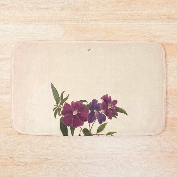 Item preview, Brazilian flowers drawn from nature in the years 1880 to 1882 in the neighbourhood of Rio de Janeiro E H Norton 042 designed and sold by WetdryvacRB01.