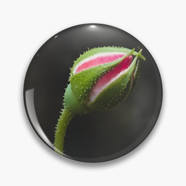 Item preview, rose bud photo designed and sold by AishhArt.