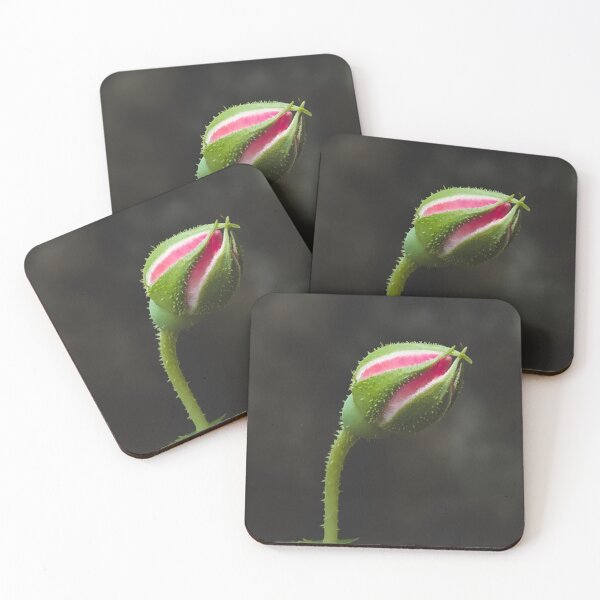 Item preview, rose bud photo designed and sold by AishhArt.