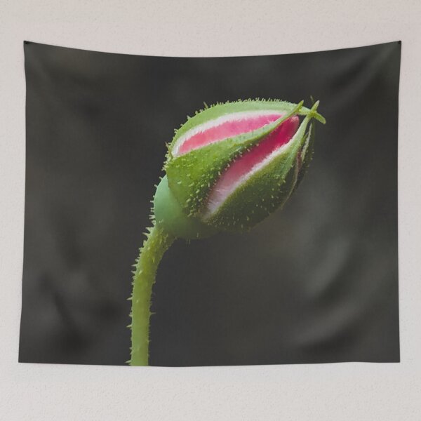 Item preview, rose bud photo designed and sold by AishhArt.