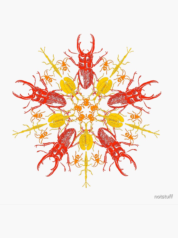 B. Kinsey bug design - bugs galore by notstuff