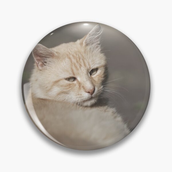 Item preview, Domestic cat portrait. Ginger cat animal designed and sold by Claraveritas.