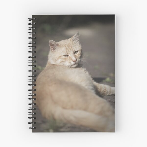 Item preview, Domestic cat portrait. Ginger cat animal designed and sold by Claraveritas.