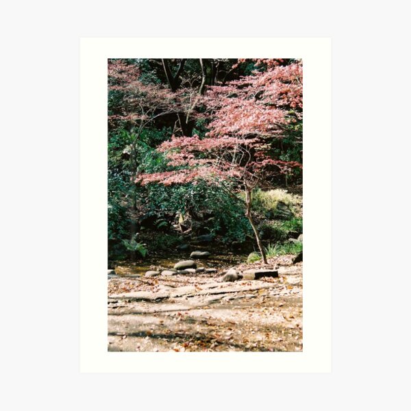 Under Tokyo Tower in the spring Art Print