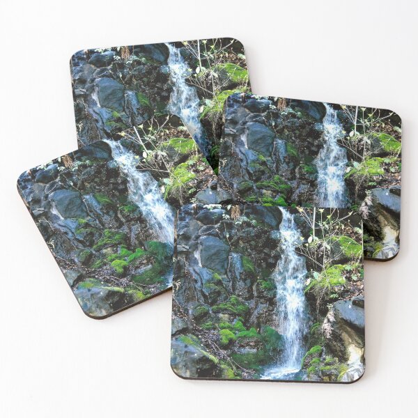 Tokyo in the Spring Coasters (Set of 4)