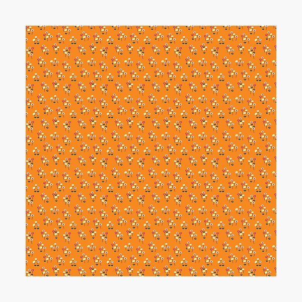 POPPY DAISIES YELLOW Photographic Print