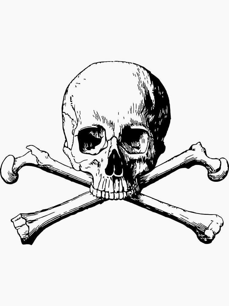 The Skull by SiddharthaMoon