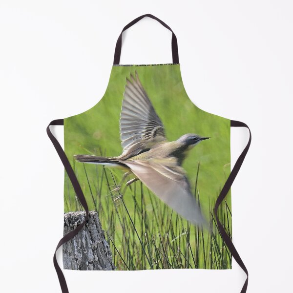 Item preview, r2427/ ornithologique-du-teich  Bergeronnette printanière  2018 par Okaio Créations - Olavia-Olao  designed and sold by o.okaïo.