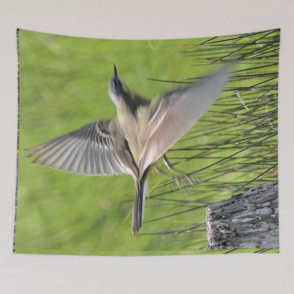 Item preview, r2427/ ornithologique-du-teich  Bergeronnette printanière  2018 par Okaio Créations - Olavia-Olao  designed and sold by o.okaïo.