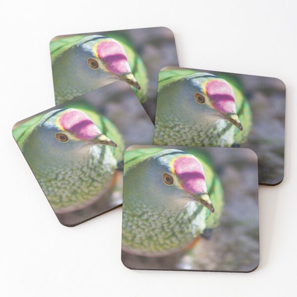 Item preview, Rose-crowned Fruit-Dove designed and sold by FeFoFum.