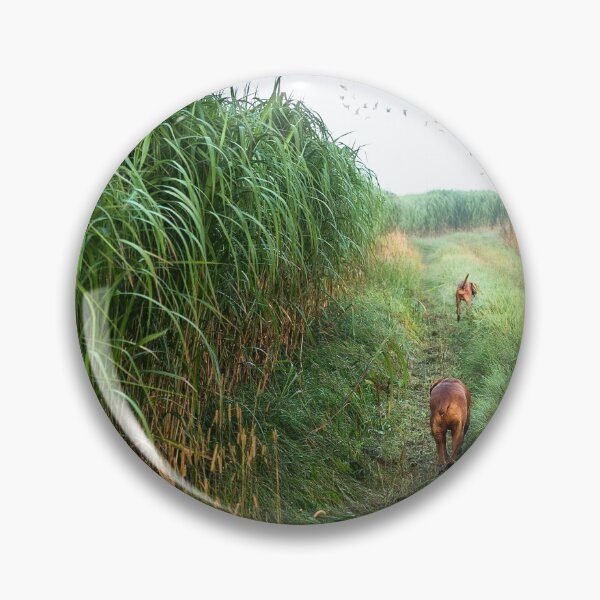 Item preview, Hungarian Vizsla on a morning walk designed and sold by mymindseyephoto.