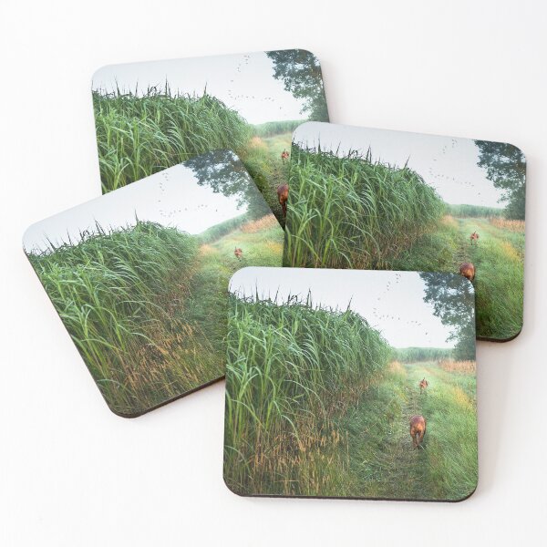 Item preview, Hungarian Vizsla on a morning walk designed and sold by mymindseyephoto.