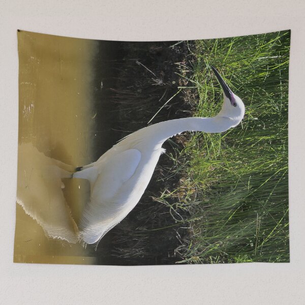 Item preview, r2426/ site ornithologique-du-teich - Aigrette garzette  2018 par Okaio Créations - Olavia-Olao   designed and sold by o.okaïo.