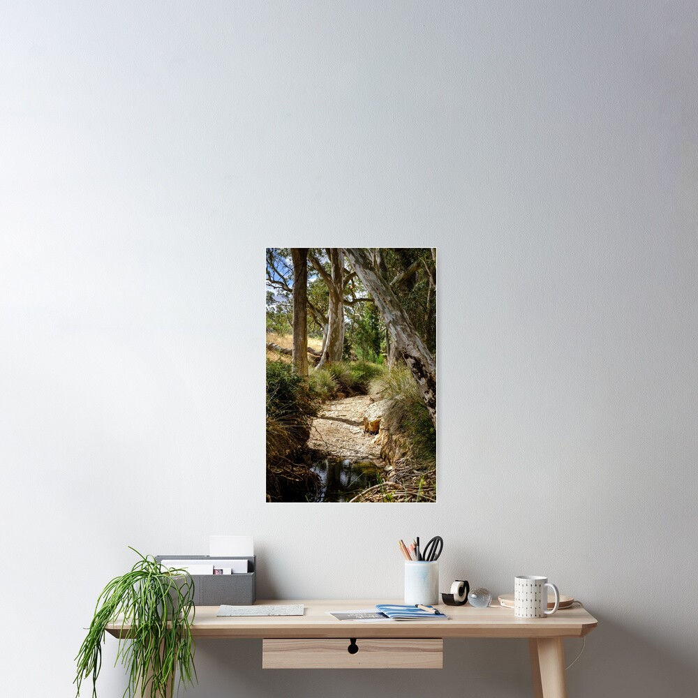 Hans Heysen Territory Poster