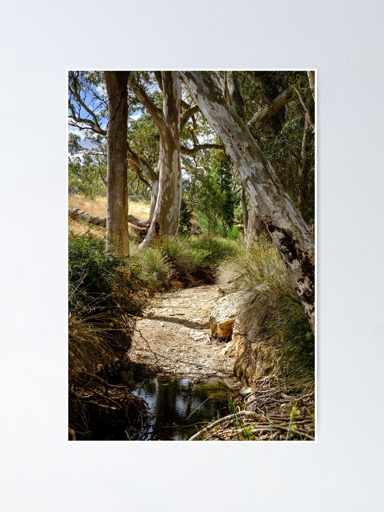 Alternate view of Hans Heysen Territory Poster
