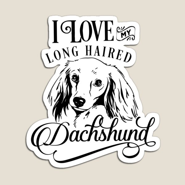 Download Long Haired Dachshund Gifts Merchandise Redbubble