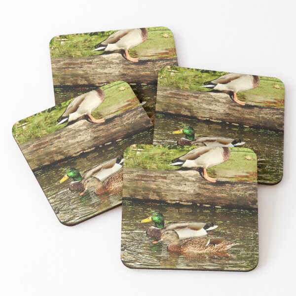 Item preview, Mallard Ducks - Male and Female  designed and sold by Martina Nicolls.