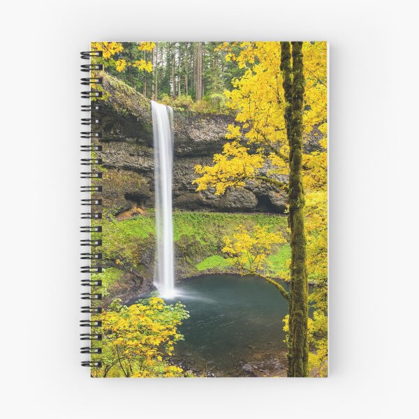 Aperçu de l'œuvre South Falls in Autumn, Silver Falls State Park, Oregon, USA créée et vendue par Tom Mackie.