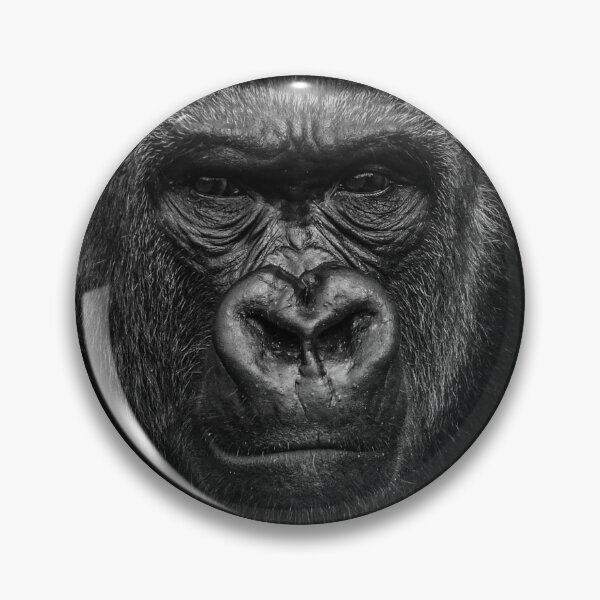 Artikelvorschau, Echo des westlichen Tieflandgorillas entworfen und verkauft von Ian Lane.