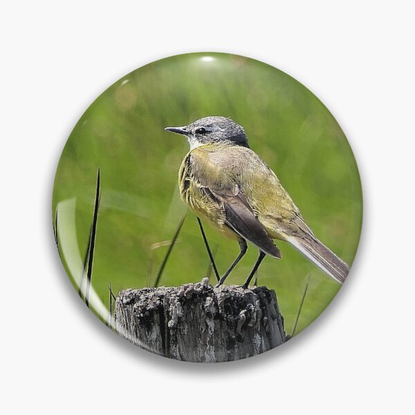 Item preview, r2428/ ornithologique-du-teich  Bergeronnette printanière  2018 par Okaio Créations - Olavia-Olao     designed and sold by o.okaïo.