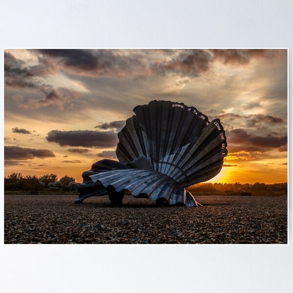 Item preview, Sculpted shell on Beach designed and sold by JuliaWatkins.