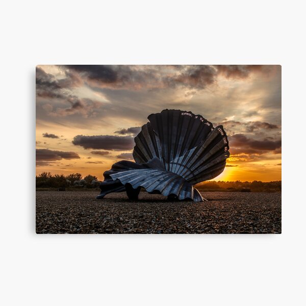 Item preview, Sculpted shell on Beach designed and sold by JuliaWatkins.