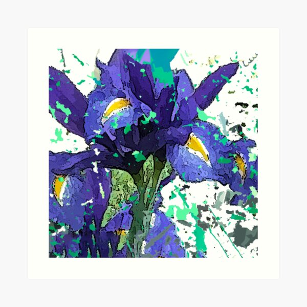 Iris Splash Art Print