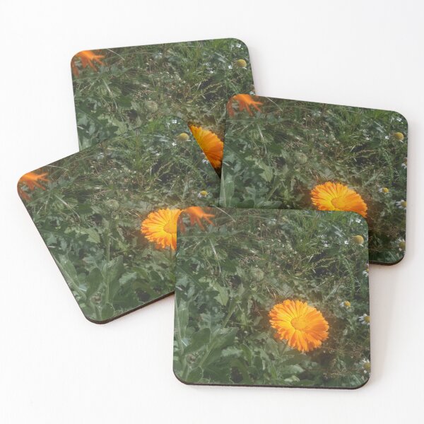 Item preview, marigold in grass designed and sold by miaterinka.