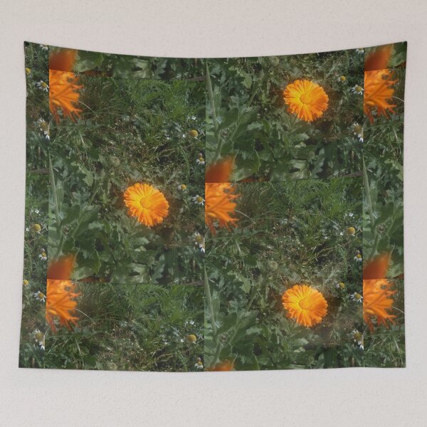 Item preview, marigold in grass designed and sold by miaterinka.
