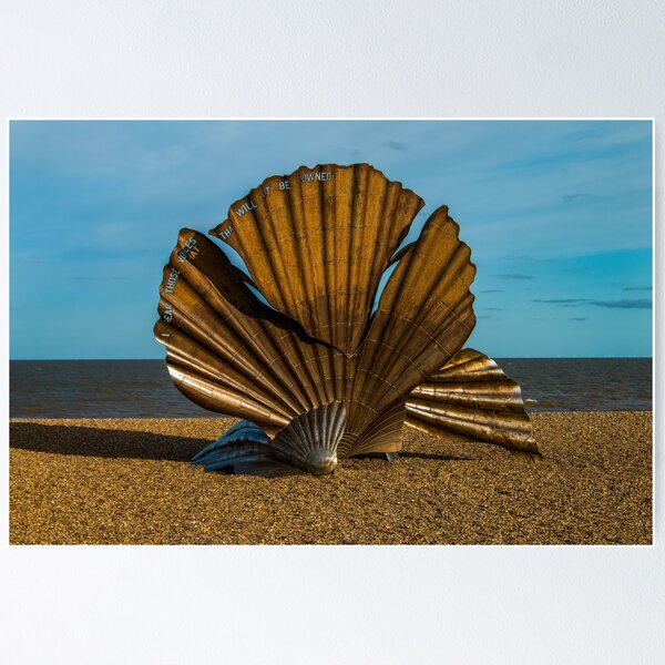 Item preview, sculpted shell on Beach  designed and sold by JuliaWatkins.