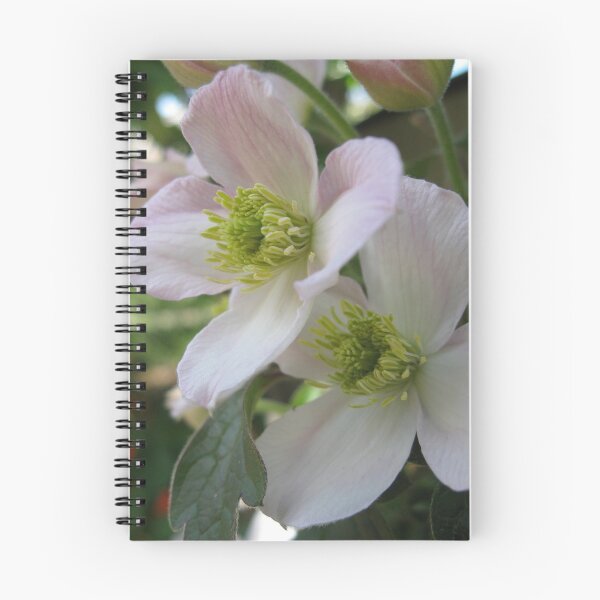 Item preview, Clematis flowers designed and sold by Zinziber.