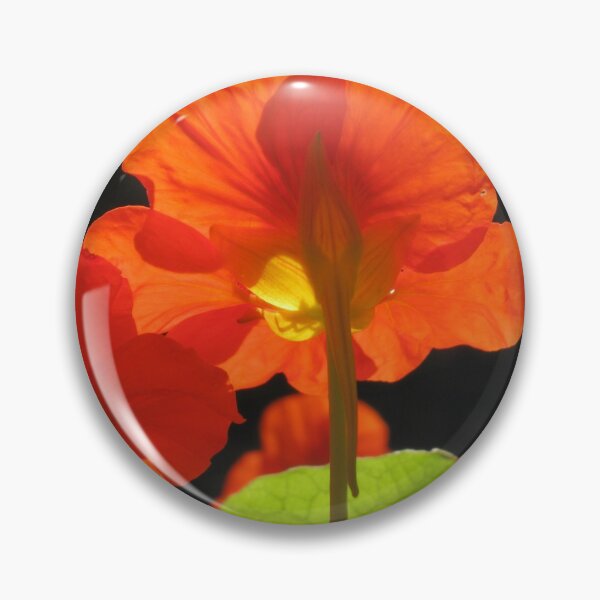 Item preview, Illuminated nasturtiums designed and sold by Zinziber.