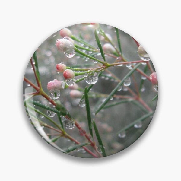 Item preview, Waxflower buds after rain designed and sold by Zinziber.