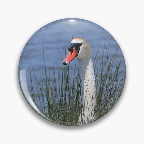 Item preview, r2429/ ornithologique-du-teich  Cygne tuberculé  2018 par Okaio Créations - Olavia-Olao     designed and sold by o.okaïo.
