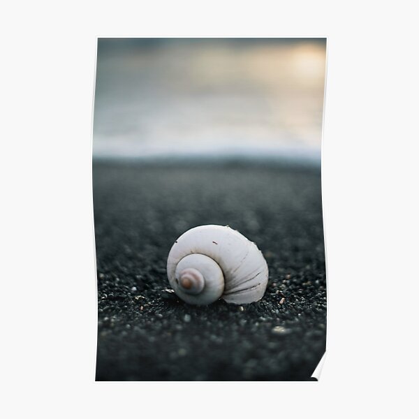 shore V Poster