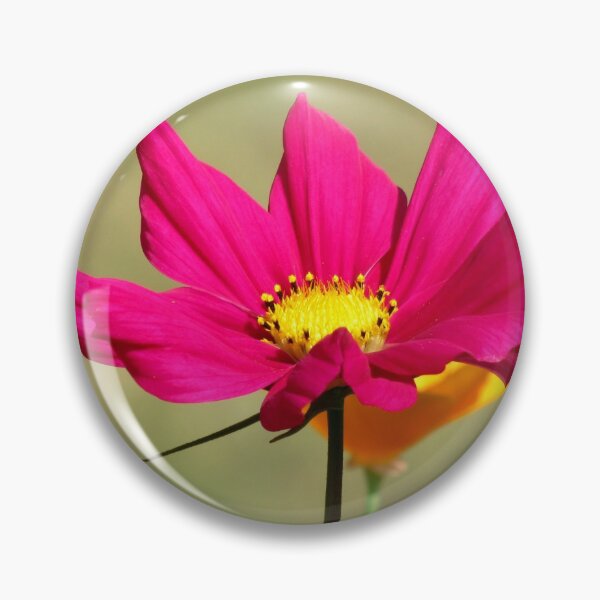 Item preview, Cosmos flower, blossom, flowers, floral, pink designed and sold by rhnaturestyles.
