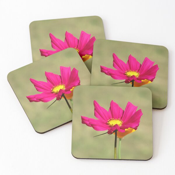 Item preview, Cosmos flower, blossom, flowers, floral, pink designed and sold by rhnaturestyles.