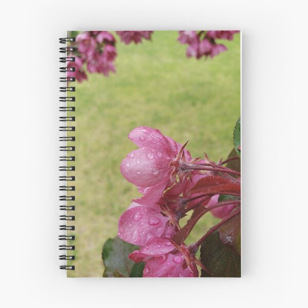 Item preview, Waterdroplets on crabbapple tree flowers designed and sold by JJPumpkins.