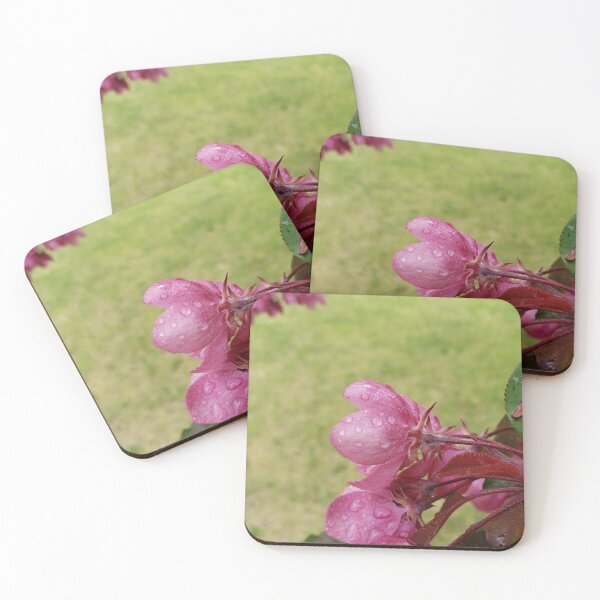Item preview, Waterdroplets on crabbapple tree flowers designed and sold by JJPumpkins.
