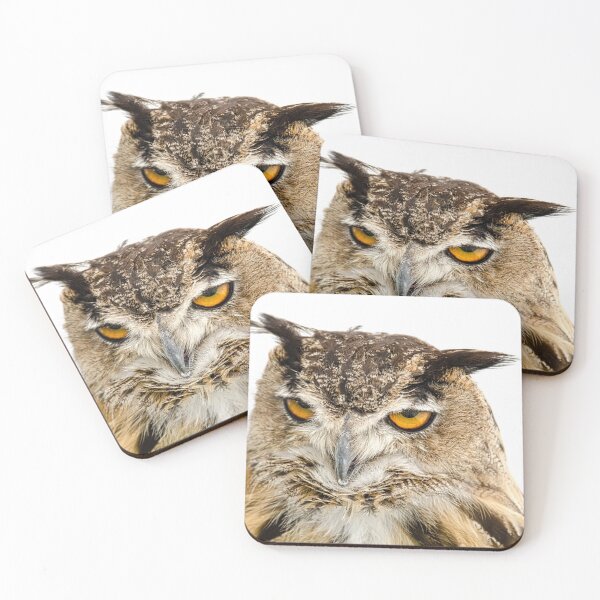 Item preview, Eagle Owl designed and sold by petewelsby.