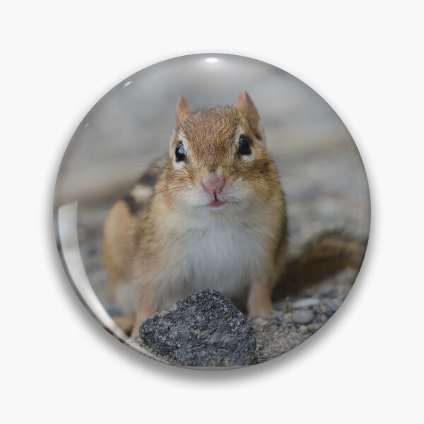 Item preview, Chipmunk designed and sold by rodmacpherson.