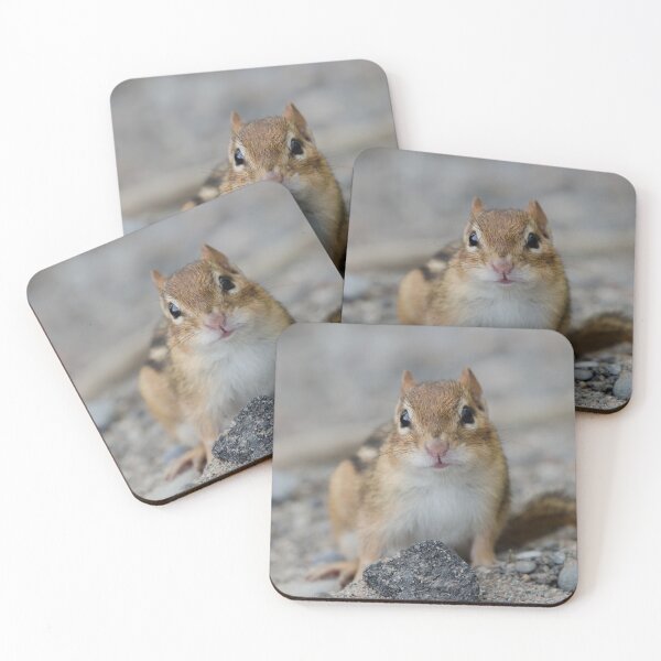 Item preview, Chipmunk designed and sold by rodmacpherson.