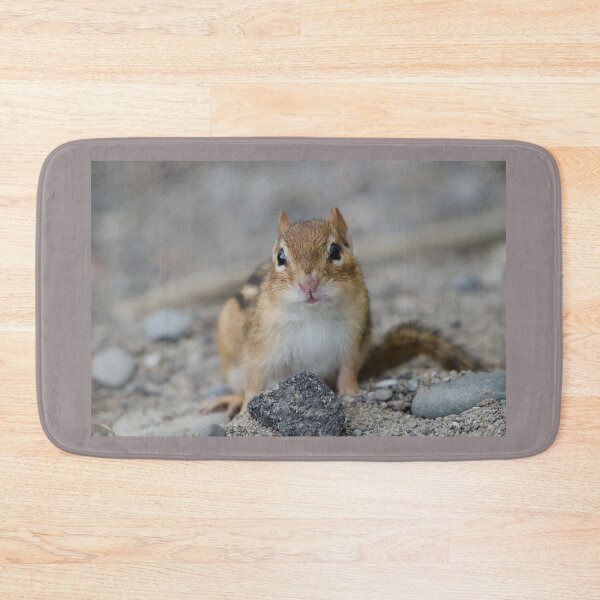 Item preview, Chipmunk designed and sold by rodmacpherson.
